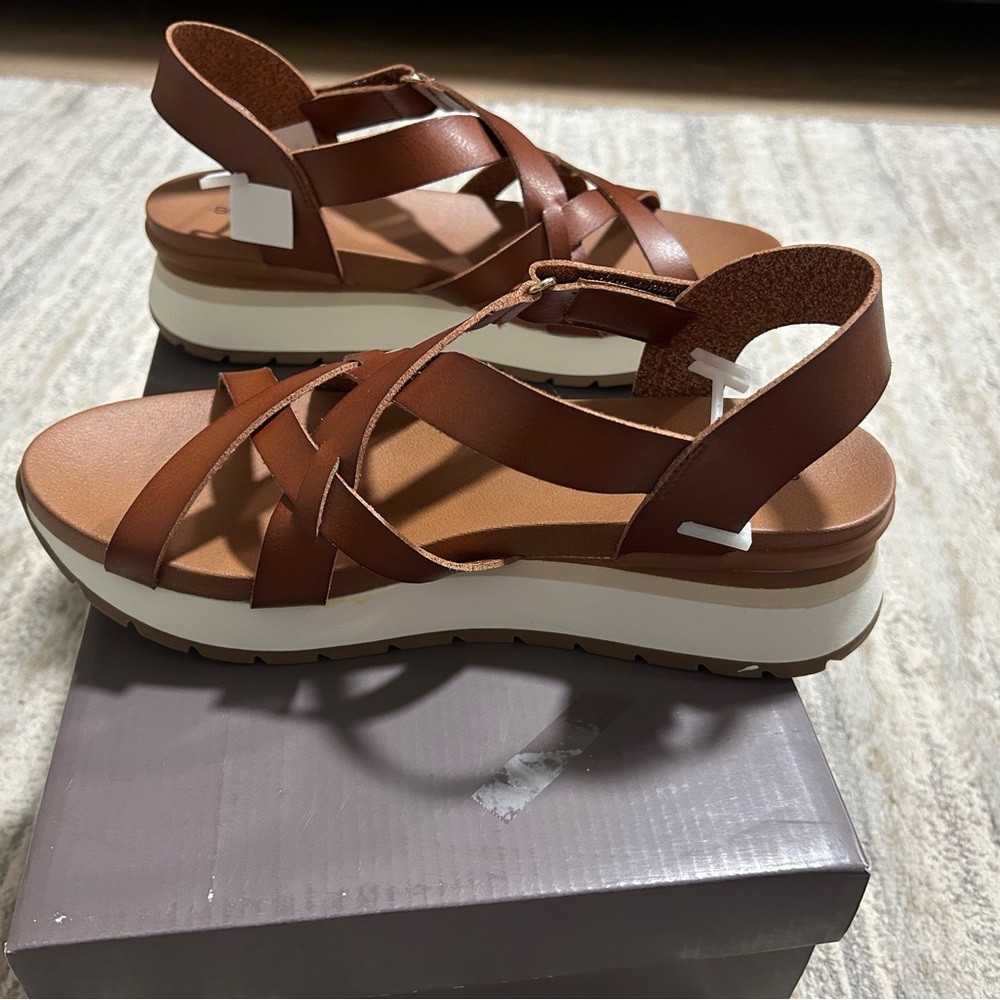 Style & Co. Dark Brown Shoe